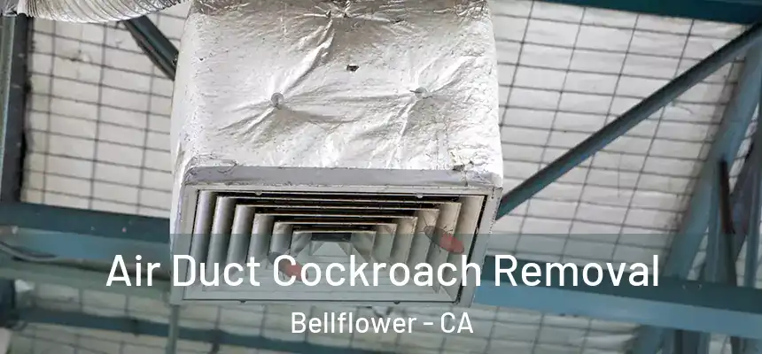 Air Duct Cockroach Removal Bellflower - CA