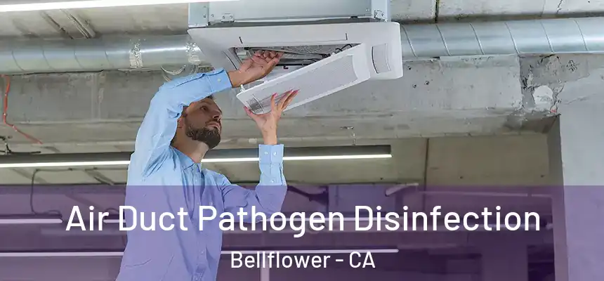  Air Duct Pathogen Disinfection Bellflower - CA