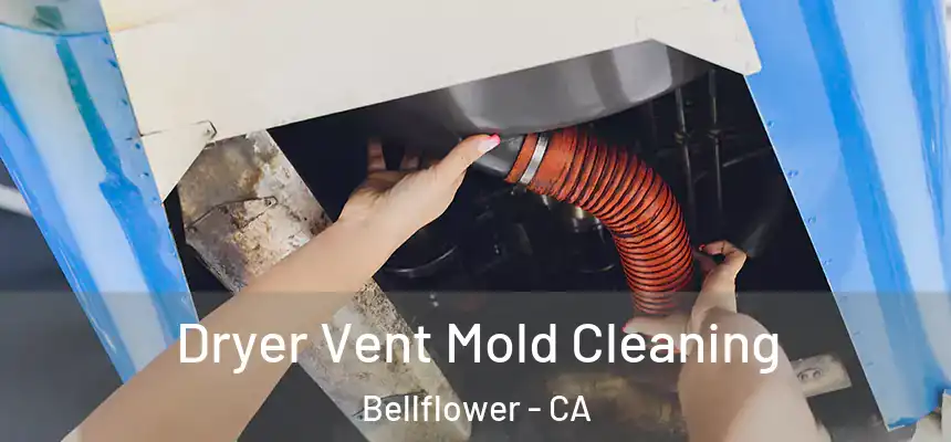 Dryer Vent Mold Cleaning Bellflower - CA