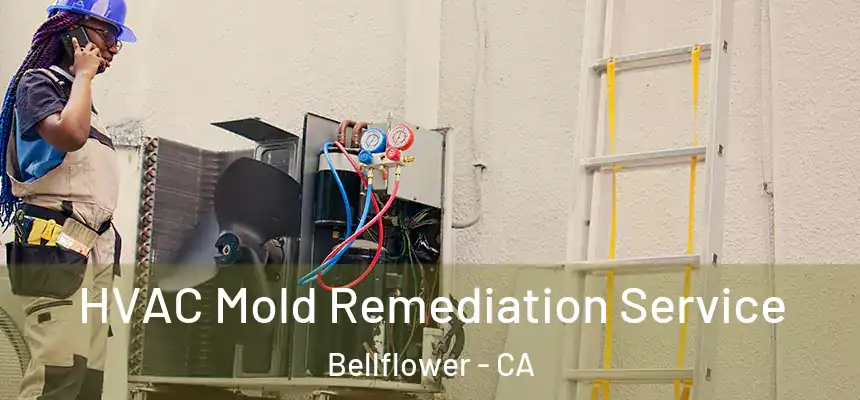 HVAC Mold Remediation Service Bellflower - CA