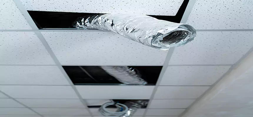 Our Air Duct Pet Hair Removal Services in Bellflower, CA