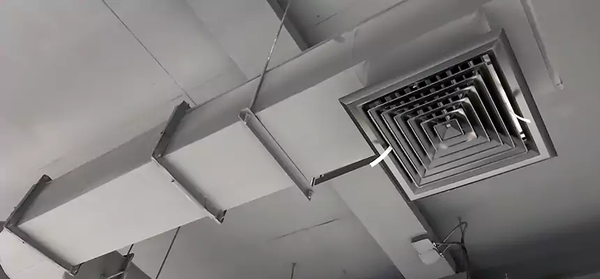 Our Pest Removal From Ducts Services in Bellflower, CA