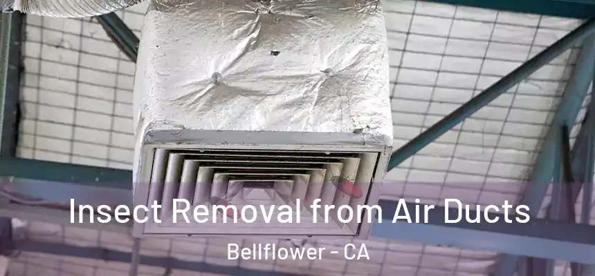 Insect Removal from Air Ducts Bellflower - CA