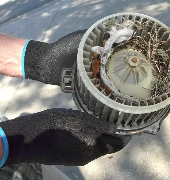 About Air Duct Mice Removal in Bellflower, CA