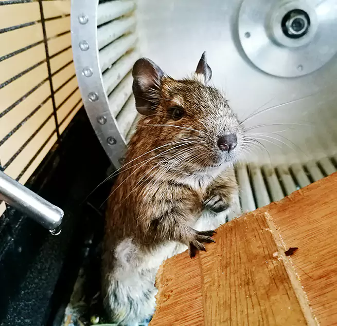 Why Homeowners & Businesses Trust Us Bellflower, CA?