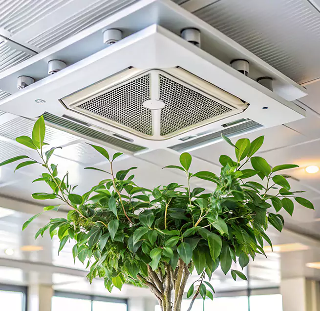 Why Homeowners & Businesses Trust Us in Bellflower, CA