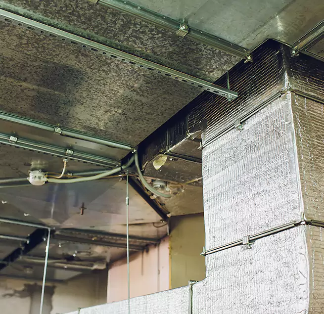 Why Homeowners & Businesses Trust Us in Bellflower, CA?